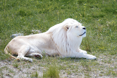 Similar image 21465774