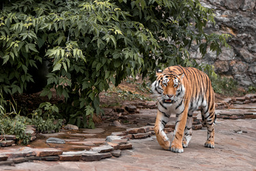 Similar image 21467403