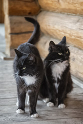 Similar image 21467405