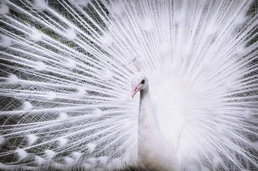 Similar image 21465776