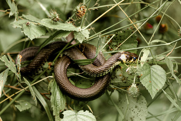 Similar image 21465777