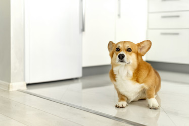 Similar image 21465781