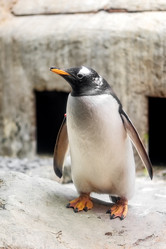 Similar image 21465782