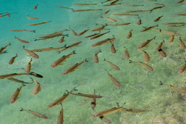 Similar image 21467409