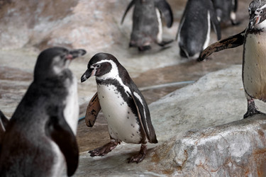 Similar image 21465784