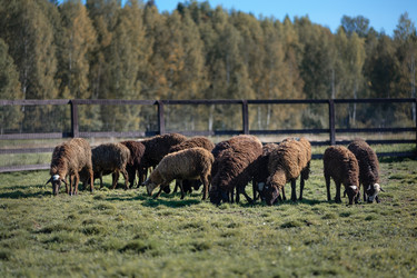 Similar image 21467411