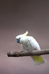 Similar image 21465786