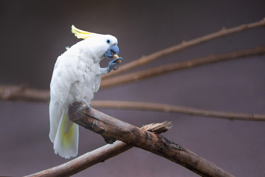 Similar image 21465787