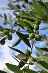 Similar image 21465790