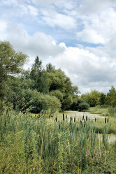 Similar image 21465791