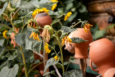 Similar image 21467777