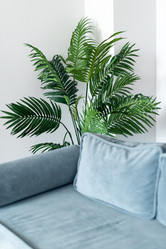 Similar image 21467782