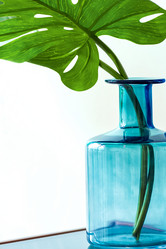 Similar image 21467792