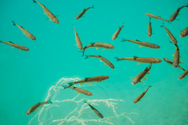 Similar image 21467799