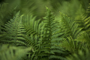 Similar image 21467802