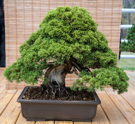 Similar image 21467825