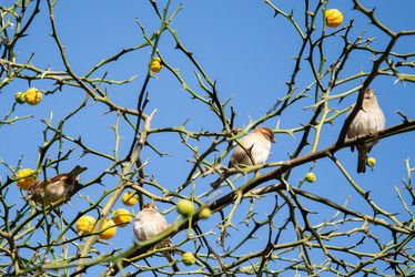 Similar image 21467829