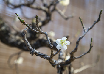 Similar image 21467414