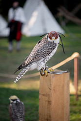 Similar image 21465810