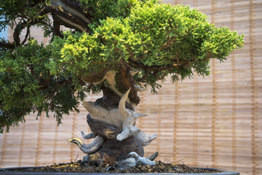 Similar image 21465811