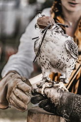 Similar image 21465812