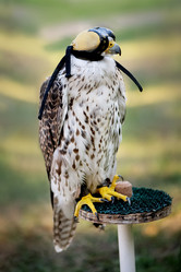 Similar image 21465814