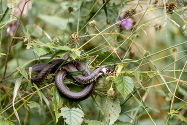 Similar image 21465816