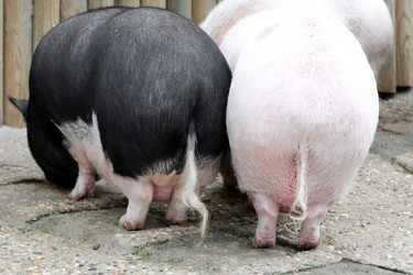 Similar image 21465820