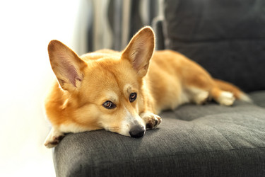 Similar image 21465824