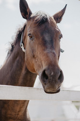 Similar image 21467415