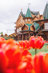 Similar image 21462577