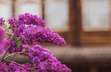 Similar image 21462578