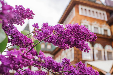 Similar image 21462581