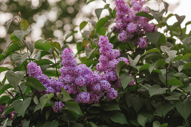 Similar image 21462582