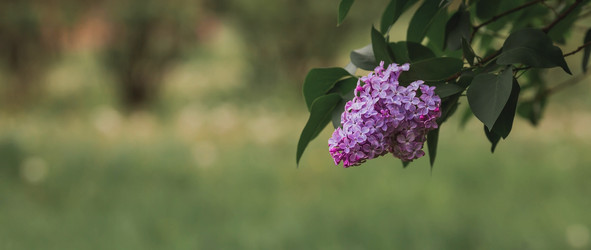 Similar image 21462584