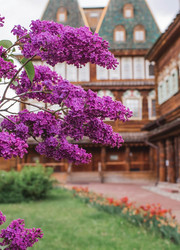 Similar image 21462585