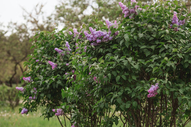 Similar image 21462586