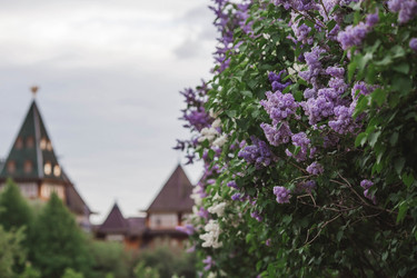 Similar image 21462588