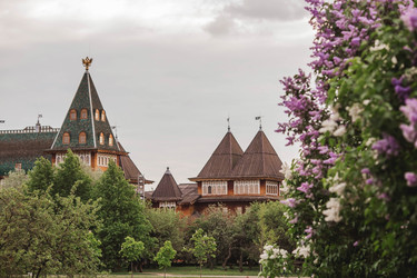 Similar image 21462590