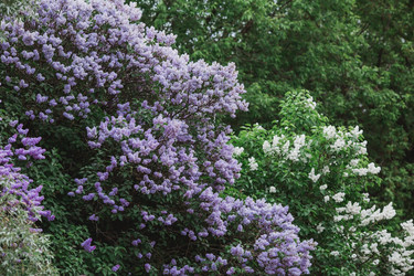 Similar image 21462592