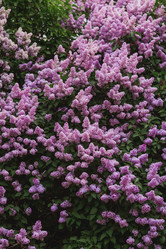 Similar image 21462596