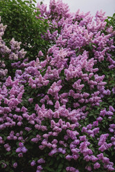 Similar image 21462597