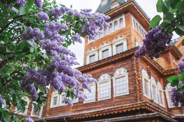 Similar image 21462604