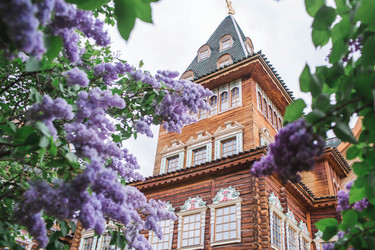 Similar image 21462606