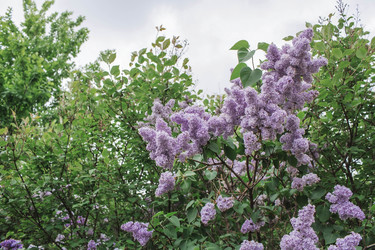 Similar image 21462608