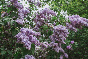 Similar image 21462609