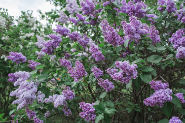 Similar image 21462610