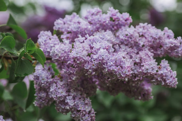 Similar image 21462611