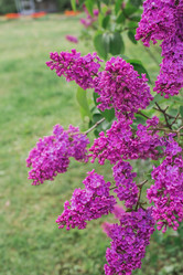 Similar image 21462612