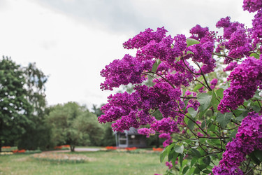 Similar image 21462614